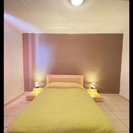 Belle Appartement Chaleureux A 2 Mn A Pied Du Tramway. Saint-Etienne (Loire) Exterior foto